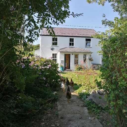 Ty Madog Eryri Snowdonia Bed & Breakfast Cwm-y-glo Bagian luar foto